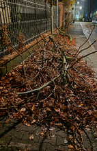 Laden Sie das Bild in den Galerie-Viewer, Akku-LaubbläserBläser Pistolen-Laubbläser Extrempower mit bis zu 210 km/h