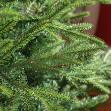 Laden Sie das Bild in den Galerie-Viewer, Künstlicher Weihnachtsbaum – 1,5 m, realistisches Aussehen, Schnellaufbau, inkl. Ständer, flammhemmend