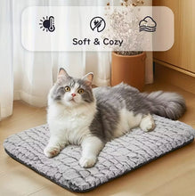 Laden Sie das Bild in den Galerie-Viewer, Extra warmes Thermo-Katzen- und Hundebett – ultra-weiche, waschbare Haustierliege