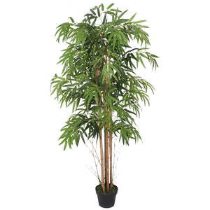 Künstlicher Bambus-Baum mit Seidenblättern und Naturstämmen. Pflegefrei. 150 - 210 cm.
