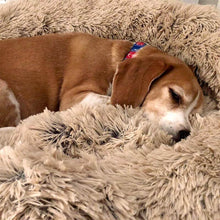 Laden Sie das Bild in den Galerie-Viewer, Hundebett / Katzenbett. Besonders gemütlich und weich. Größen von 40 cm bis 120 cm. Farbe braun