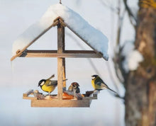 Laden Sie das Bild in den Galerie-Viewer, Vogelfutter Vier Jahreszeiten unverzichtbares Streufutter Wildvogelfutter Premium 25kg