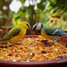 Laden Sie das Bild in den Galerie-Viewer, Vogelfutter Vier Jahreszeiten unverzichtbares Streufutter Wildvogelfutter Premium 25kg