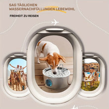 Laden Sie das Bild in den Galerie-Viewer, Hundebrunnen Edelstahl Wasserbrunnen 7 Liter besonders groß. Dauerhaft sauber und hygienisch.