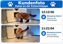 Laden Sie das Bild in den Galerie-Viewer, Überwachungskamera mit Einzelbild-Aufnahmen. WO IST MEINE KATZE? (Hund, Kind etc.) – EIN BLICK IN DIE APP, UND DU SIEHST, OB SIE DA WAR!