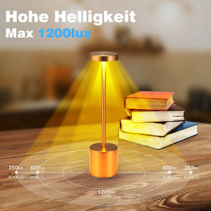 LED Tischlampe. Lampe mit Dimmung. Akkubetrieb. Nachttisch, Gartentisch. Exklusiv. Touch-Funktion