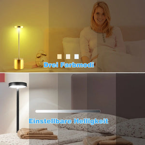 LED Tischlampe. Lampe mit Dimmung. Akkubetrieb. Nachttisch, Gartentisch. Exklusiv. Touch-Funktion