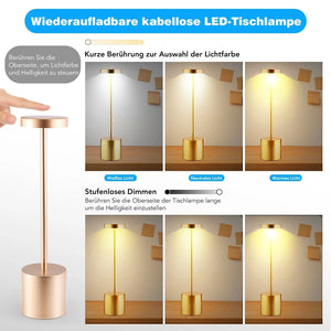 LED Tischlampe. Lampe mit Dimmung. Akkubetrieb. Nachttisch, Gartentisch. Exklusiv. Touch-Funktion