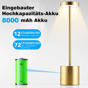 LED Tischlampe. Lampe mit Dimmung. Akkubetrieb. Nachttisch, Gartentisch. Exklusiv. Touch-Funktion
