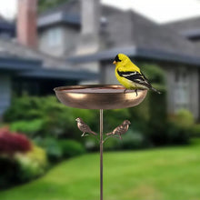 Laden Sie das Bild in den Galerie-Viewer, Vintage Vogelbadbrunnen aus Kupfer. Mit zwei Vögelchen als Dekoration.