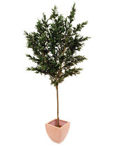 Laden Sie das Bild in den Galerie-Viewer, Künstlicher Olivenbaum mit Seidenblättern und Olivenfrüchten. Pflegefrei. 200 - 250 cm.