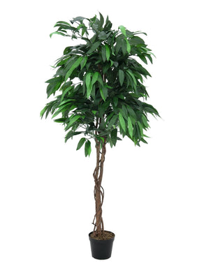 Künstlicher Mango-Baum mit Seidenblättern und Naturstämmen. Pflegefrei. 150 - 180 cm.