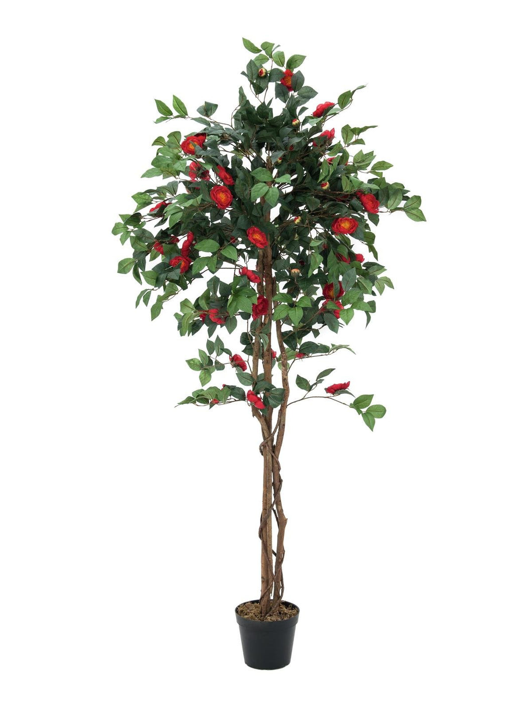 Künstlicher Kamelien-Baum mit Seidenblättern und Naturstämmen. 180 cm. Pflegefrei.
