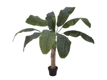 Laden Sie das Bild in den Galerie-Viewer, Künstliche Bananen-Palmen mit Seidenblättern und Naturstämmen. Pflegefrei. Viele Größen von 120 - 270 cm.