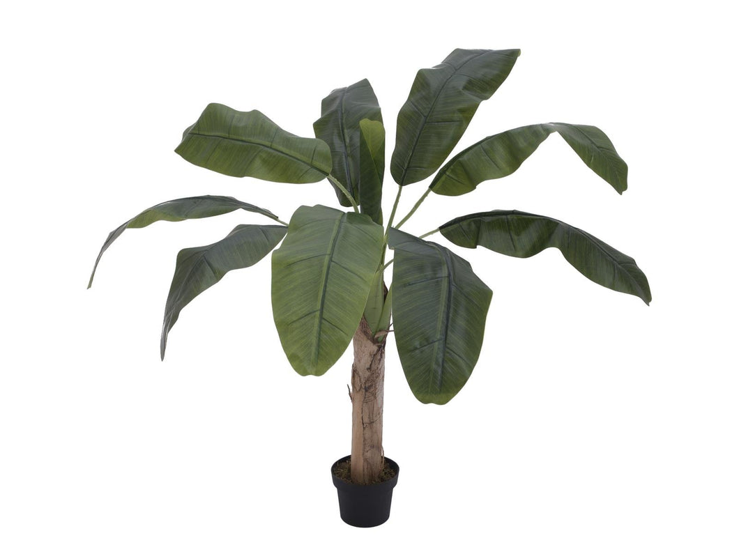 Künstliche Bananen-Palmen mit Seidenblättern und Naturstämmen. Pflegefrei. Viele Größen von 120 - 270 cm.