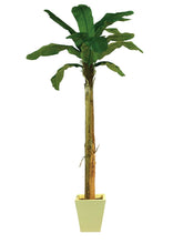Laden Sie das Bild in den Galerie-Viewer, Künstliche Bananen-Palmen mit Seidenblättern und Naturstämmen. Pflegefrei. Viele Größen von 120 - 270 cm.