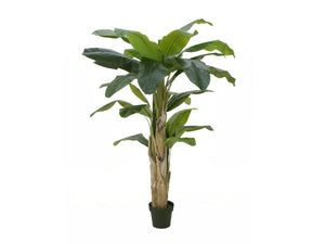 Künstliche Bananen-Palmen mit Seidenblättern und Naturstämmen. Pflegefrei. Viele Größen von 120 - 270 cm.