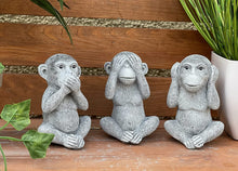 Laden Sie das Bild in den Galerie-Viewer, 1