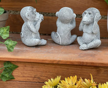 Laden Sie das Bild in den Galerie-Viewer, 5