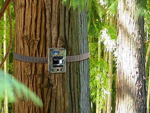 Wildkamera / Überwachungskamera mit PIR-Bewegungssensor, Nachtsicht & Farbdisplay. Tierkamera.