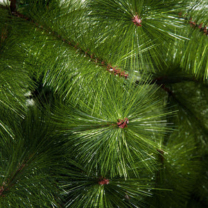 Weihnachtsbaum Christbaum authentisch, grün, 210 cm